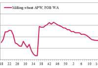 export prices
