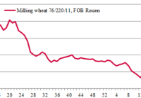 price dynamics