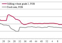 price dynamics